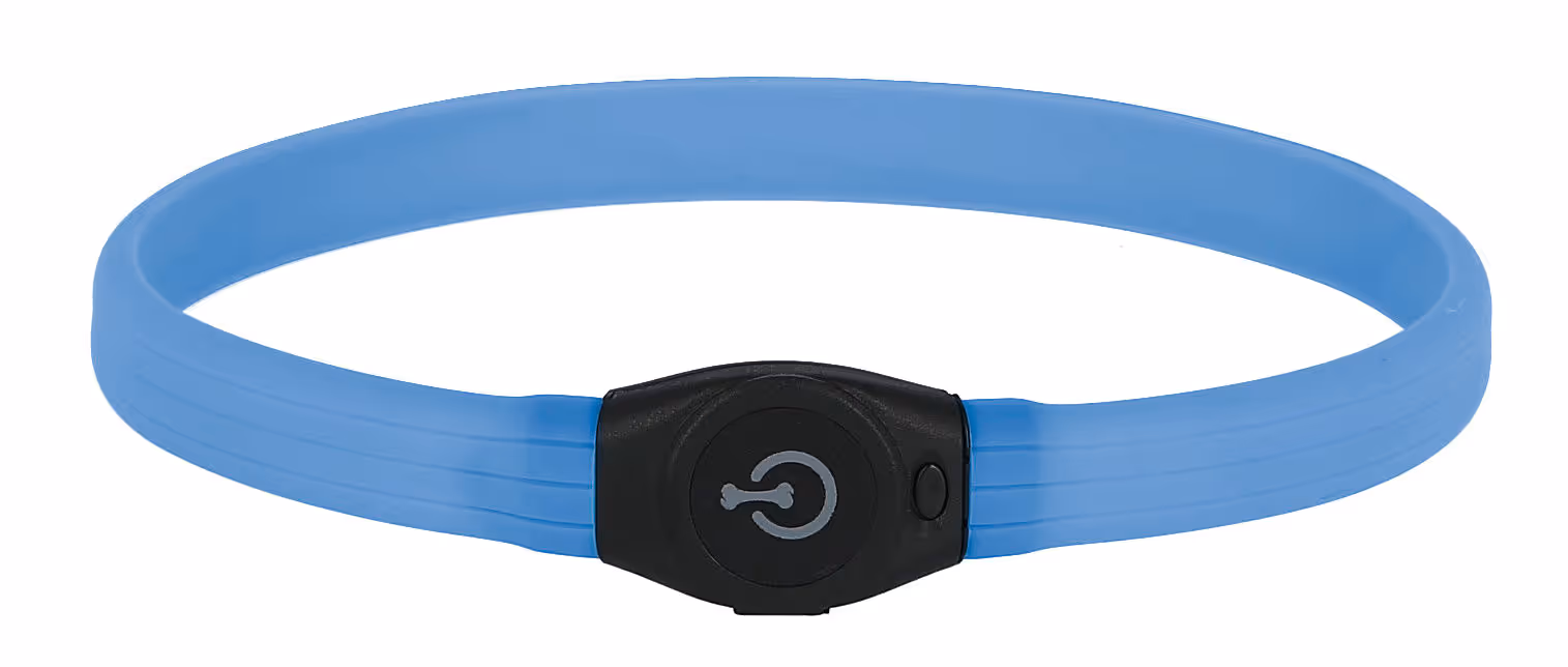 Collier LED Maxi Safe bleu, -65cm, 10mm