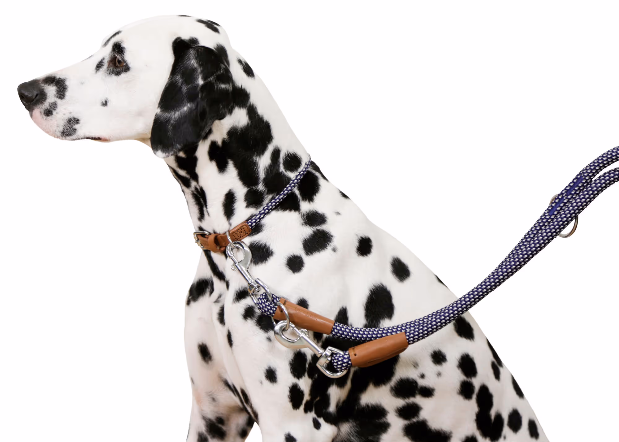 Collier Phoenix bleu, 40-55cm, 9mm