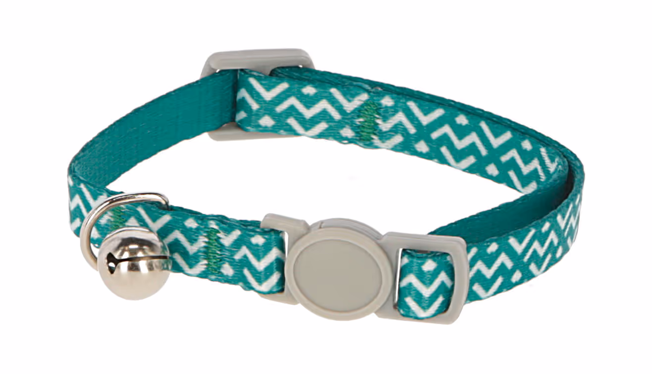 Collier pour chat Curly turquoise, 30cm