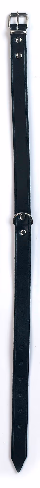 Collier pour chien Mexica noir, 34-42cm, 18mm