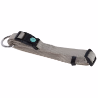 Collier pour chien Miami 25 mm tour de cou 45/65 cm Beige