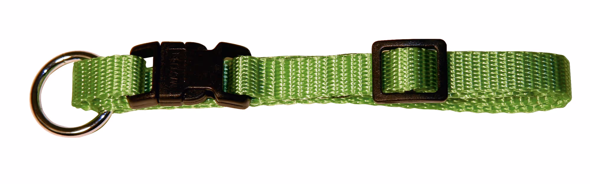 Collier pour chien Miami vert pomme, 10 mm, 20 - 35 cm