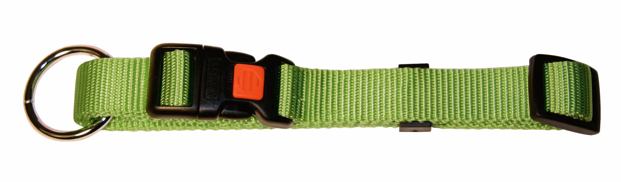 Collier pour chien Miami vert pomme, 10 mm, 20 - 35 cm