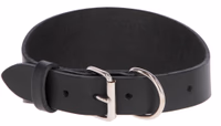 Collier pour lévriers Mexica noir, 45cm, 1,5cm