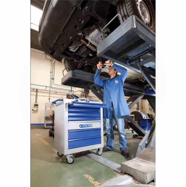 Servante maintenance 250 outils