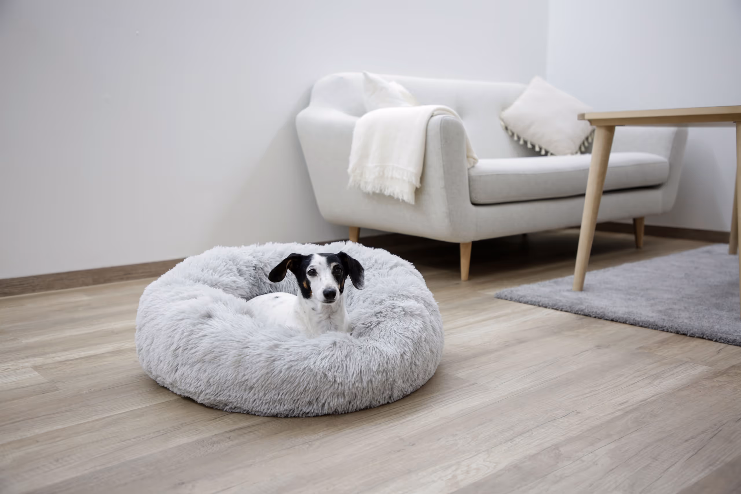 Corbeille Fluffy gris clair, Ø76X19 cm