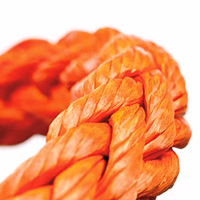 Corde dyn dn10 (rupture 10400 kg)