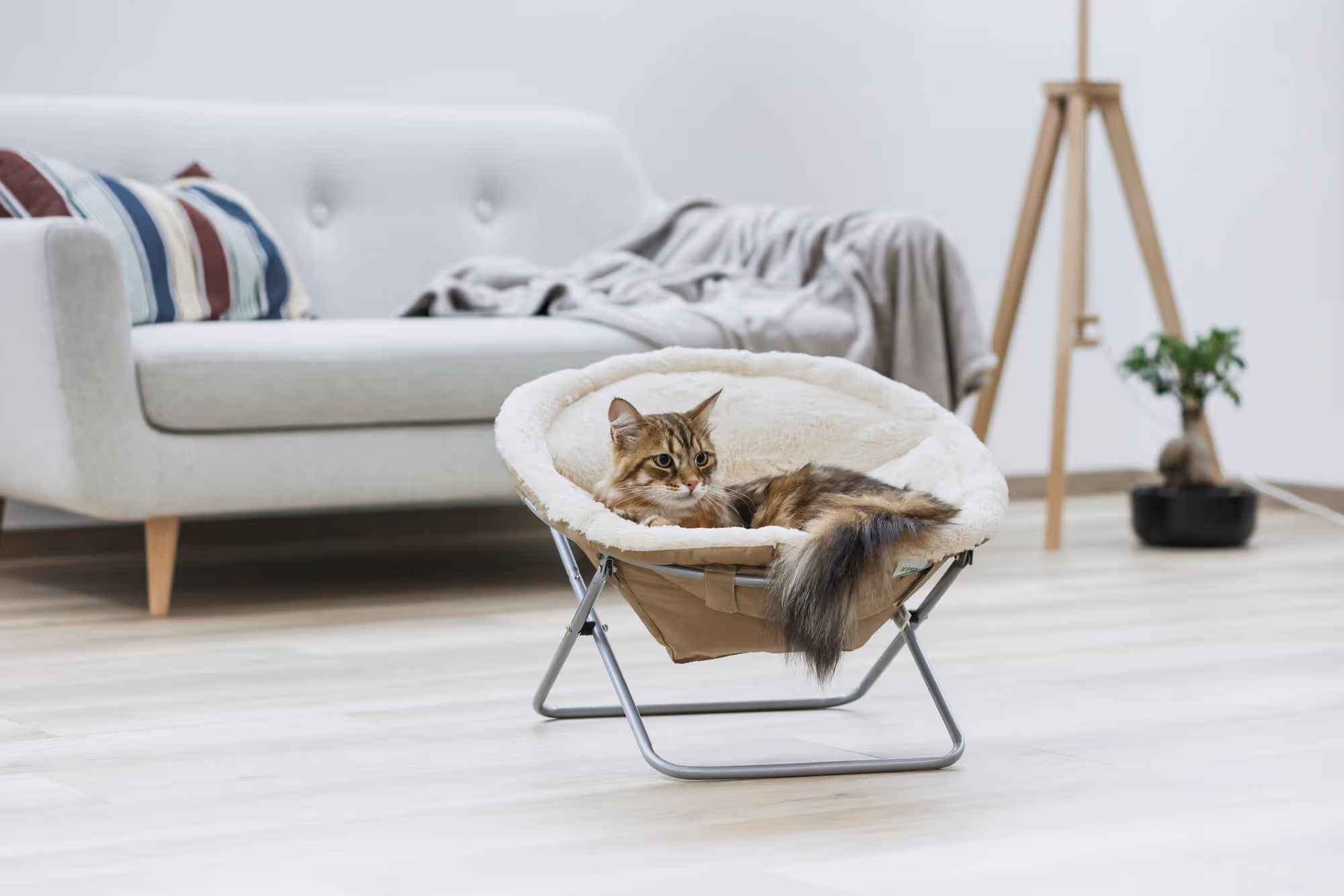 Couchette Alice beige ø58 cm