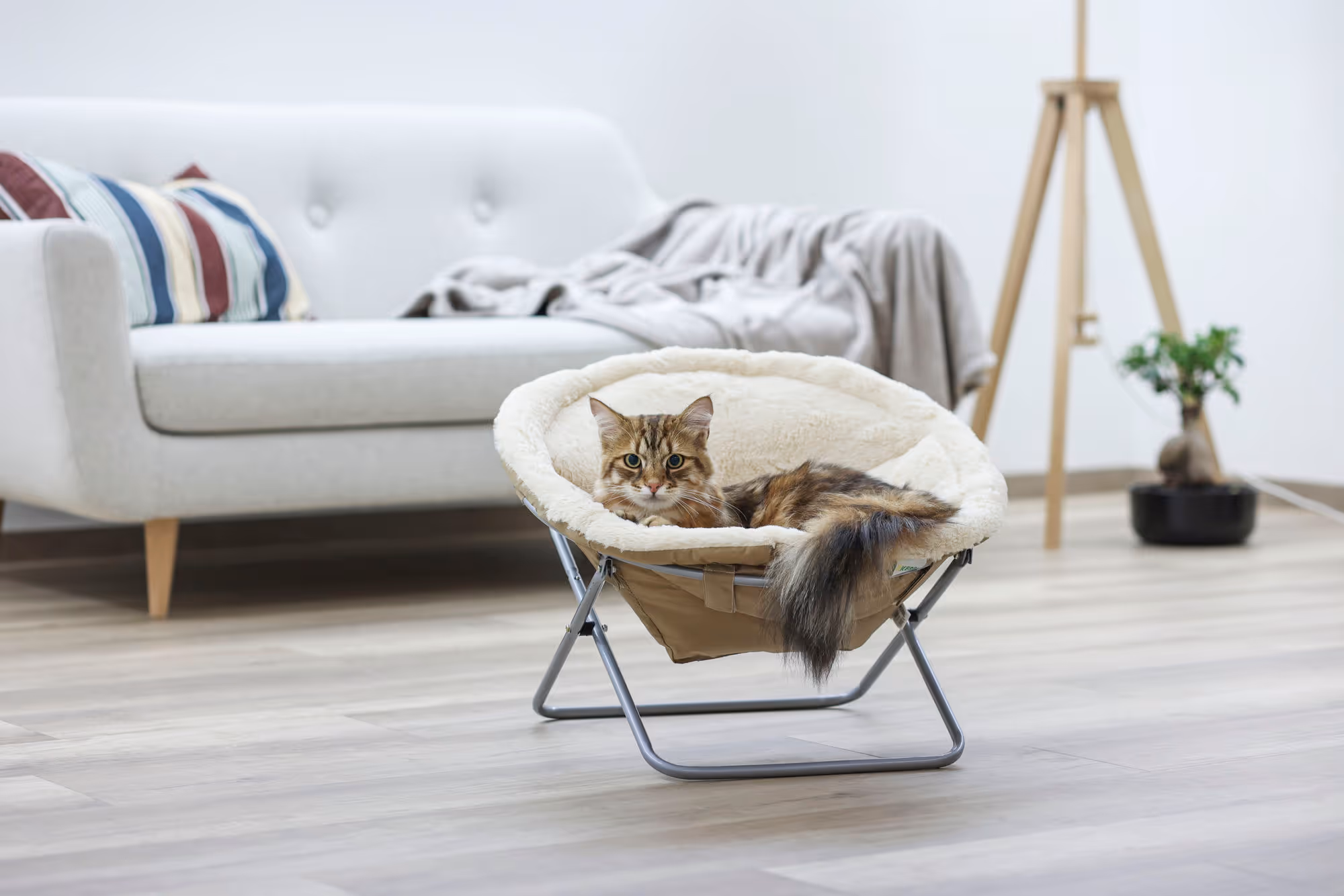 Couchette Alice beige ø58 cm