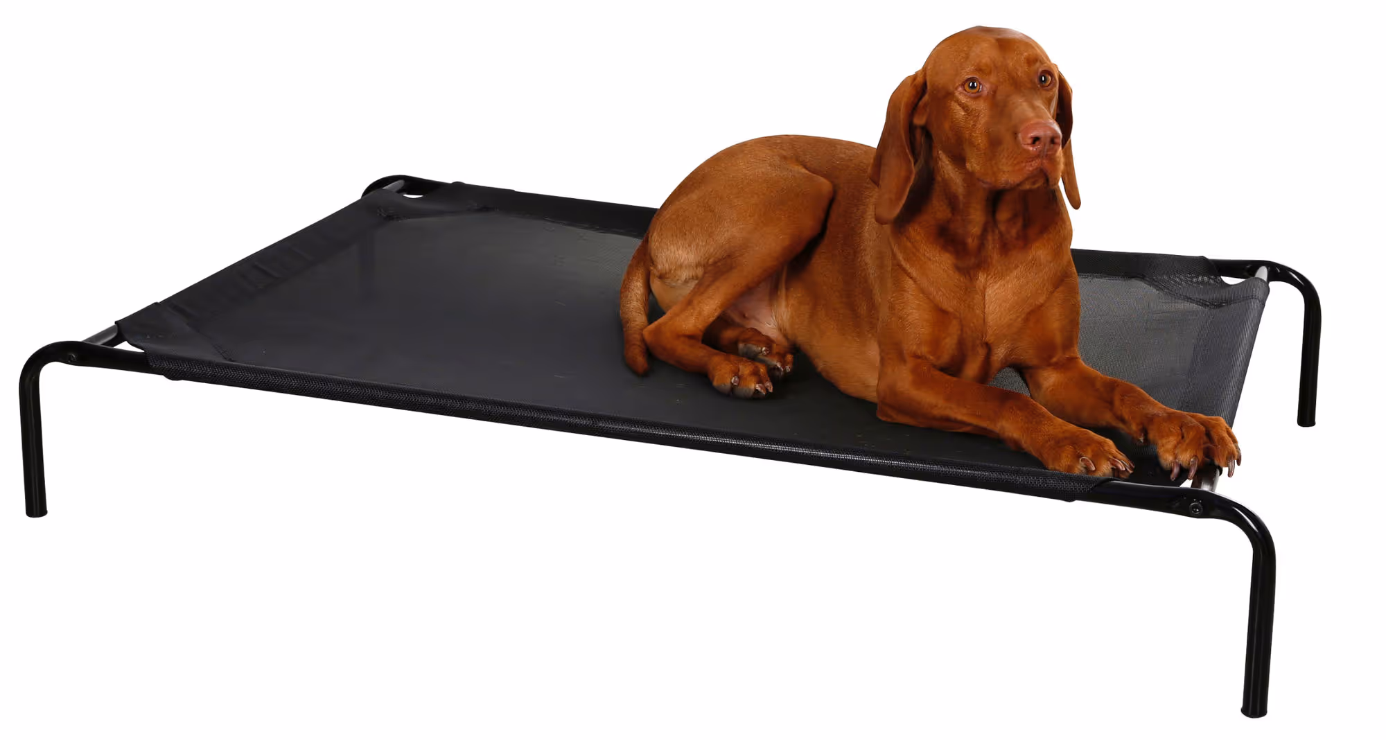 Couchette chien Vacation noir, 130X80X20cm