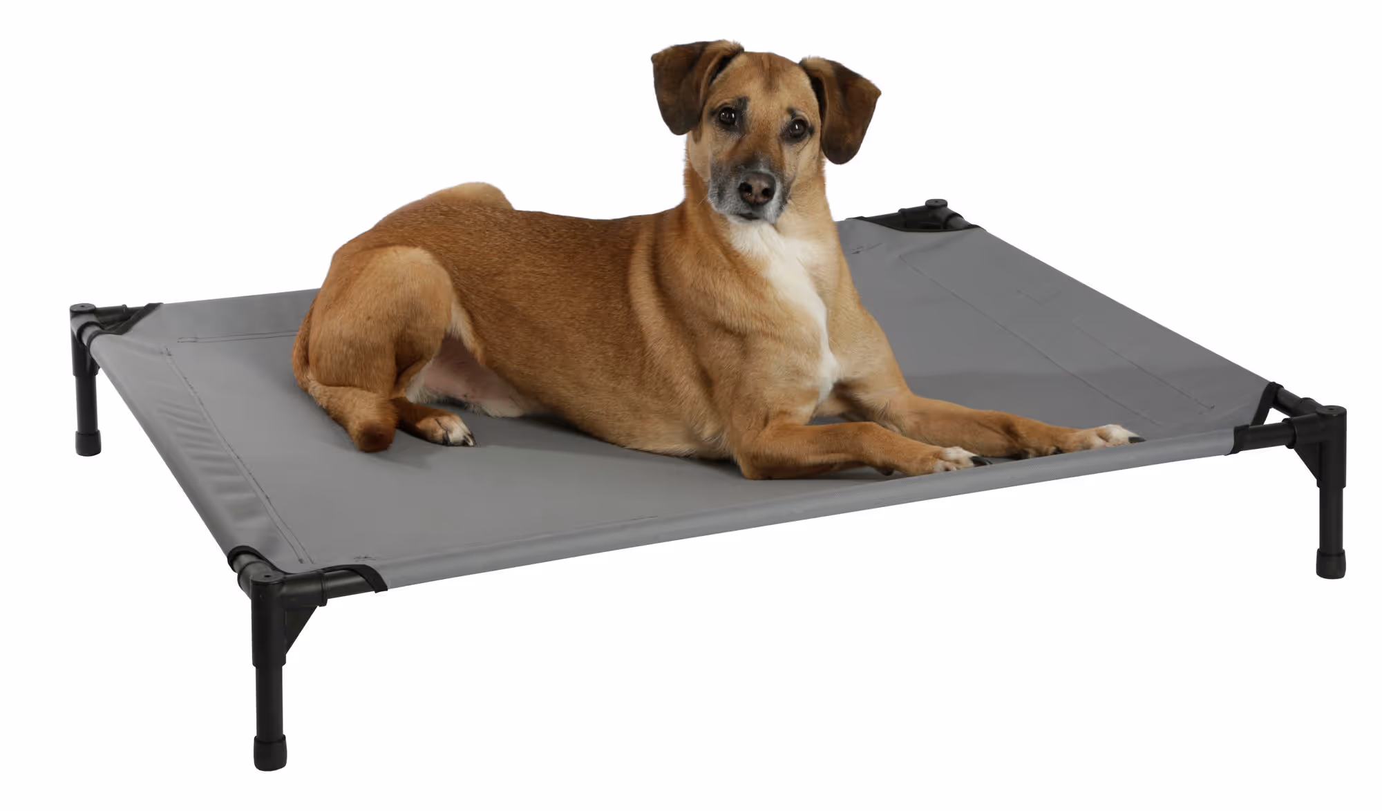 Couchette chien Vacation Top gris, avec toit, 105X86X75cm