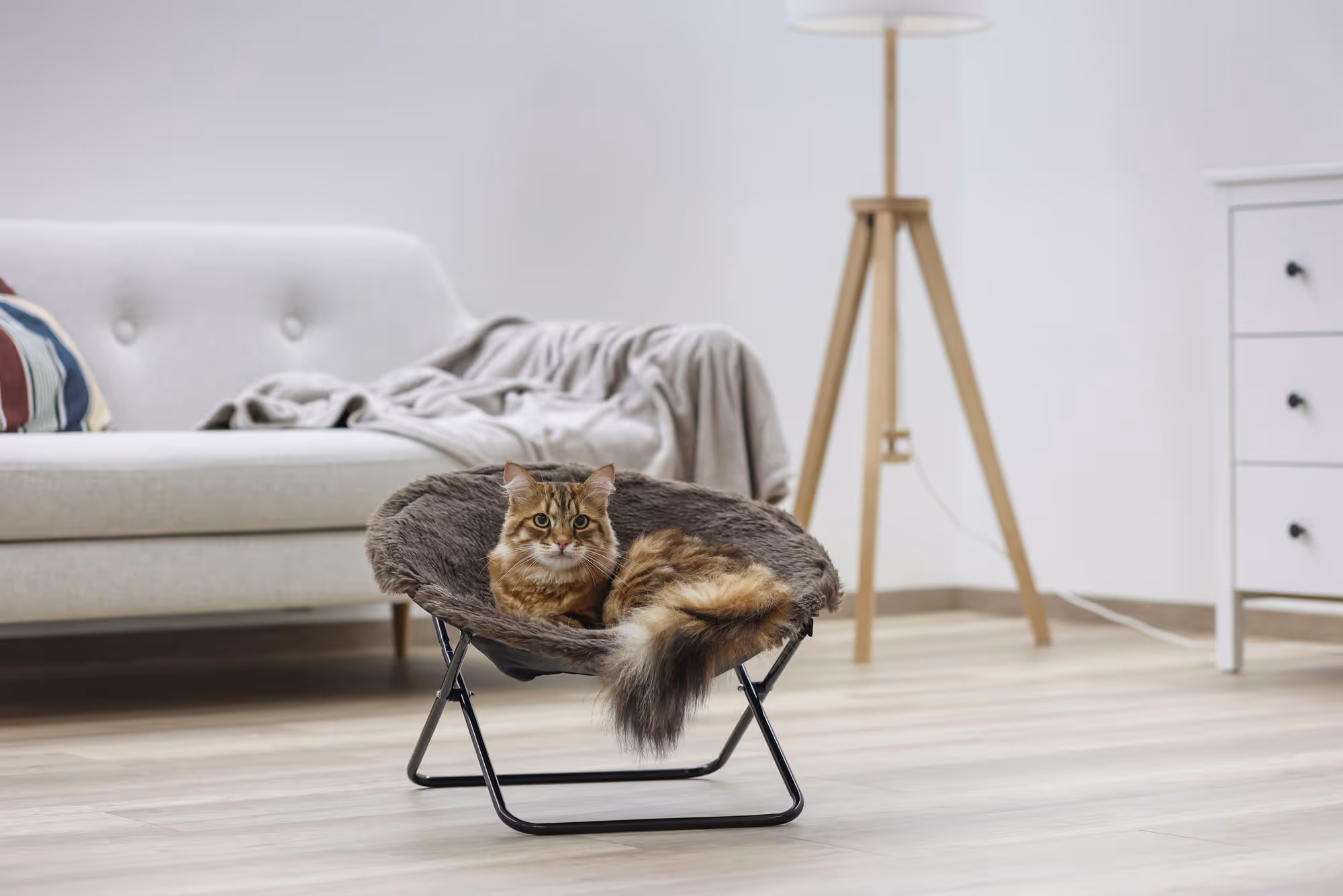 Couchette Sharon marron, Ø50cm