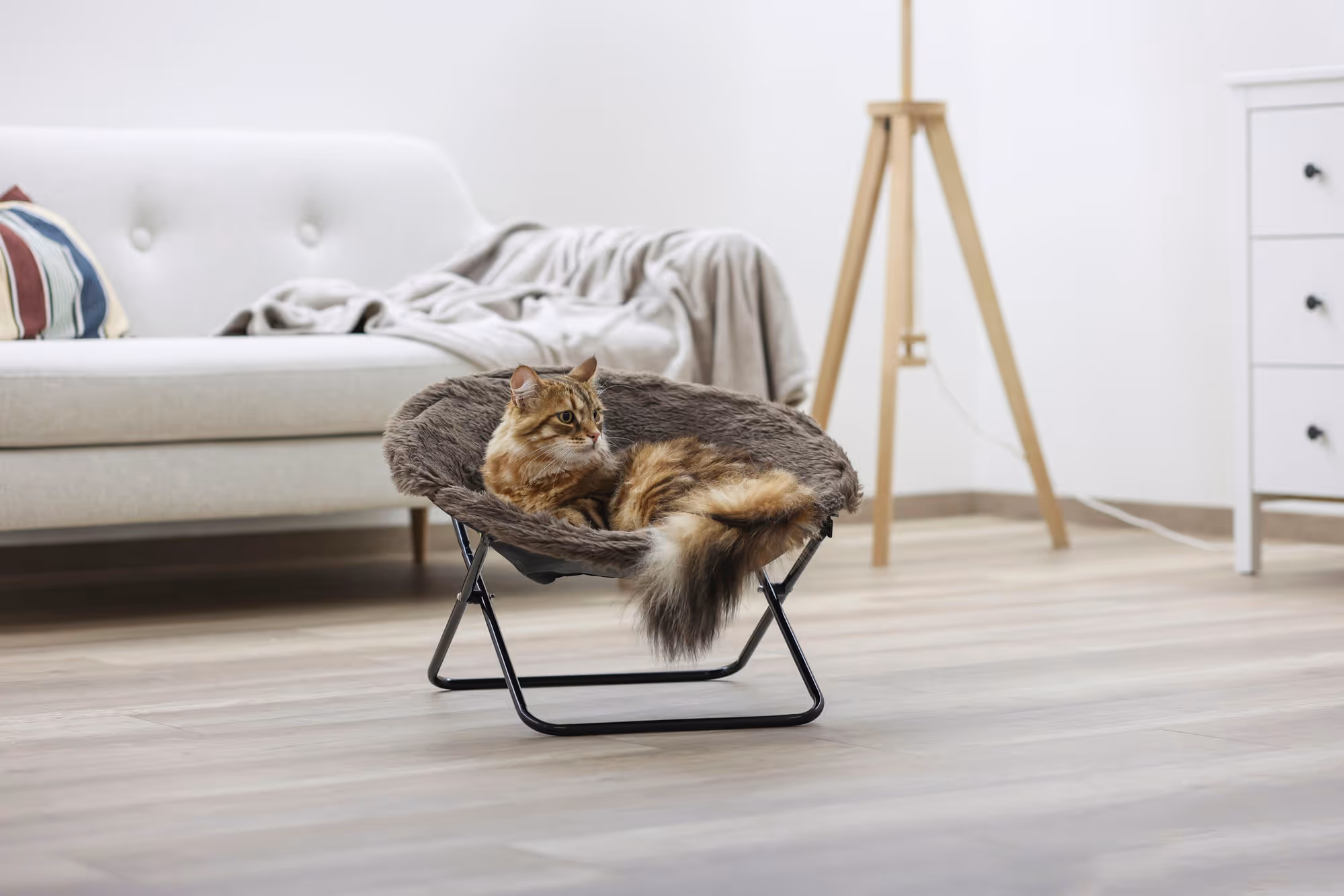 Couchette Sharon marron, Ø50cm