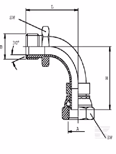 coude male femelle M22