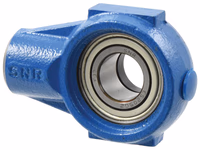 Coulisseau tendeur NTN SNR (ESEHE205)