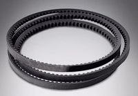 Courroie 17x1036 Li (à partie du 05/22) Giemme BCN