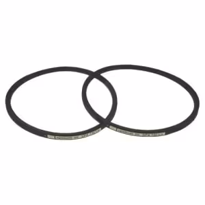 Courroie trapézoïdale SPB2500 17x2500 - Optibelt