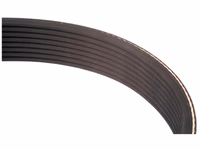 Courroie 8PK1541