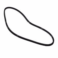 Courroie AV 13x875 - 2.4119.150.0 | Same