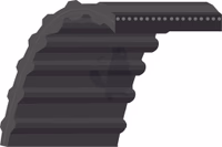 COURROIE CRANTEE 1689 MM