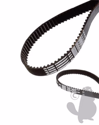 COURROIE CRANTEE 450MM