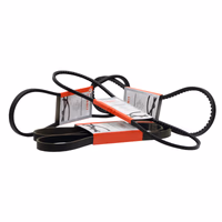 Courroie crantée adaptable Case IH J911558