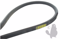 COURROIE HEXAGONALE BB110 ->PL