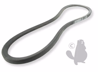 COURROIE LISSE SPB9000