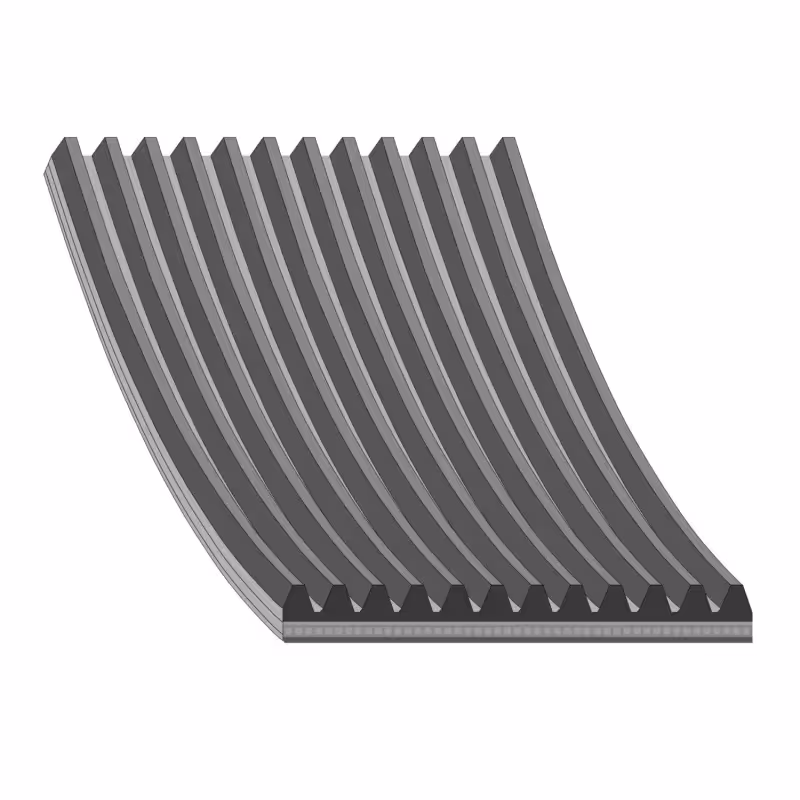 Courroie plate 12PK L1515 mm Massey Ferguson V685121530