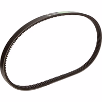 Courroie trapézoidale 1541569C1 | Case IH