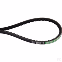 Courroie trapézoïdale