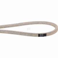 Courroie trapézoïdale