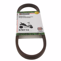 Courroie trapézoïdale