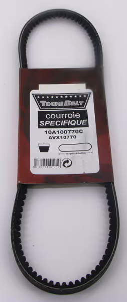 Courroie trapézoïdale crantée AVX 10x770 - Optibelt