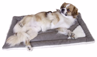 Coussin Cleo gris/blanc, 84X51cm