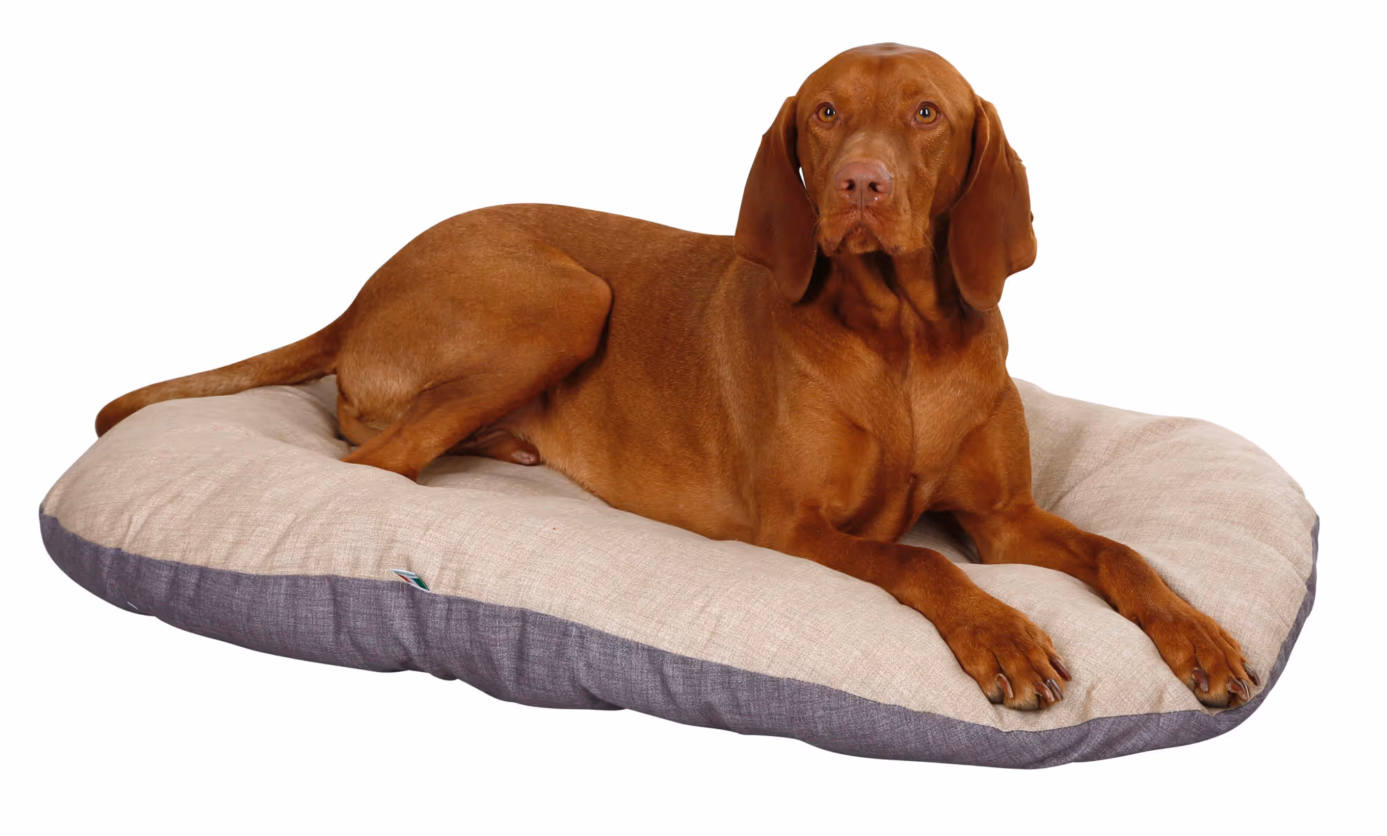 Coussin Loneta beige/gris, 82X57cm