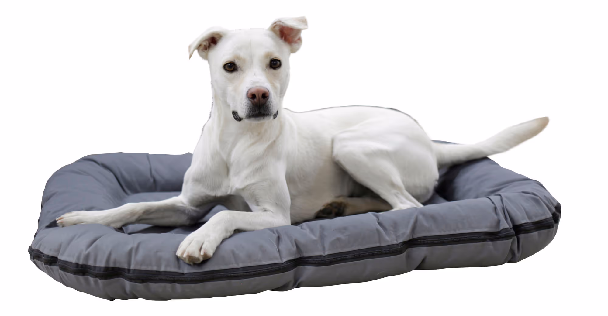 Coussin Oxford Place gris, 120X85X17cm
