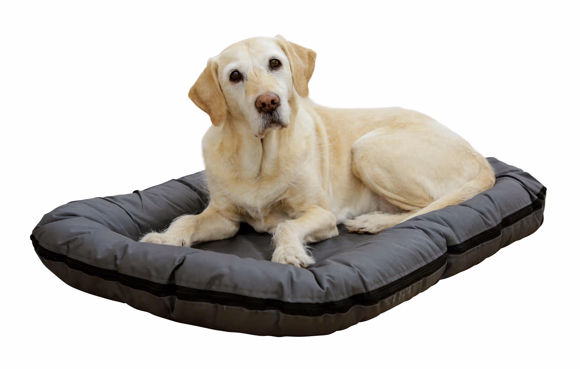 Coussin Oxford Place gris, 120X85X17cm