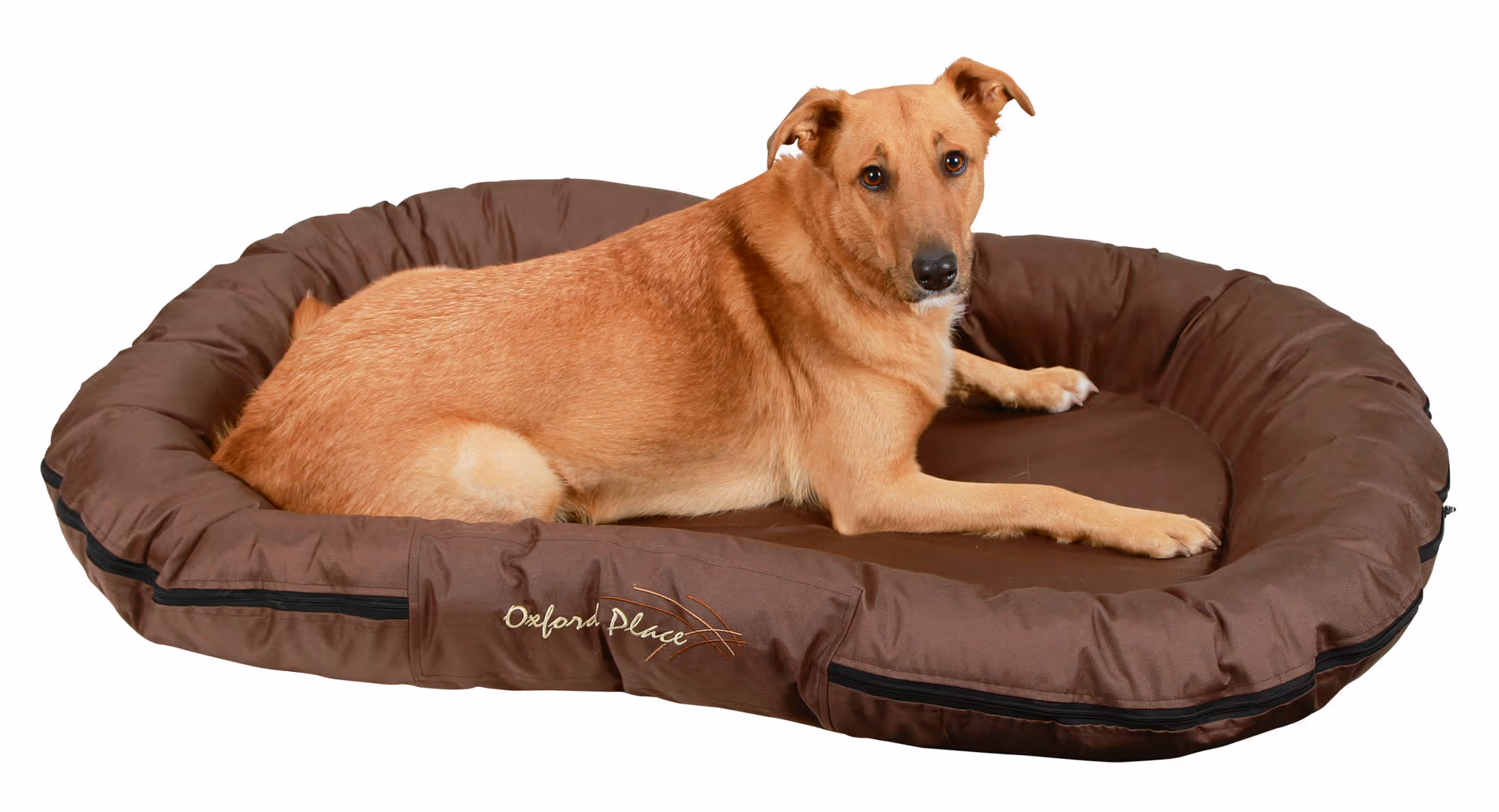 Coussin Oxford Place marron, 100X70X15cm