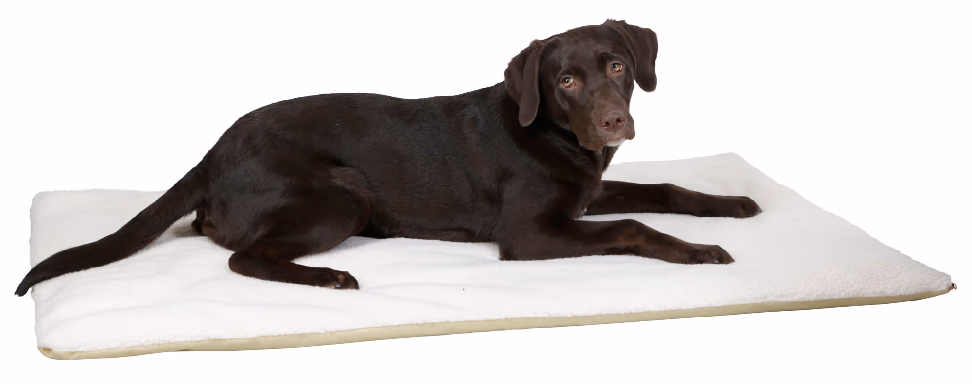 Coussin Theo beige, 120X75X3cm
