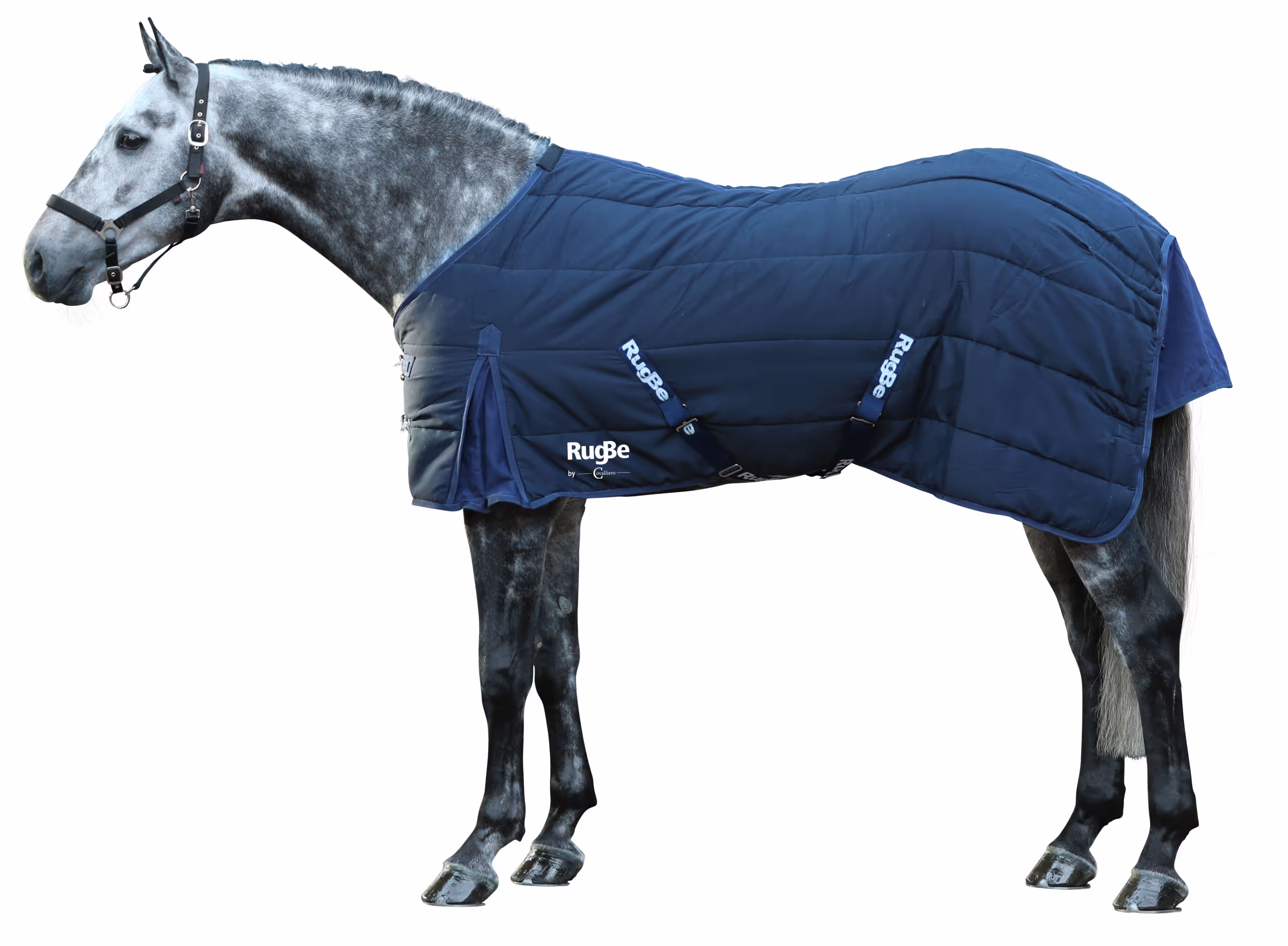 Couv. d'écurie RugBe Indoor 125 cm, bleu