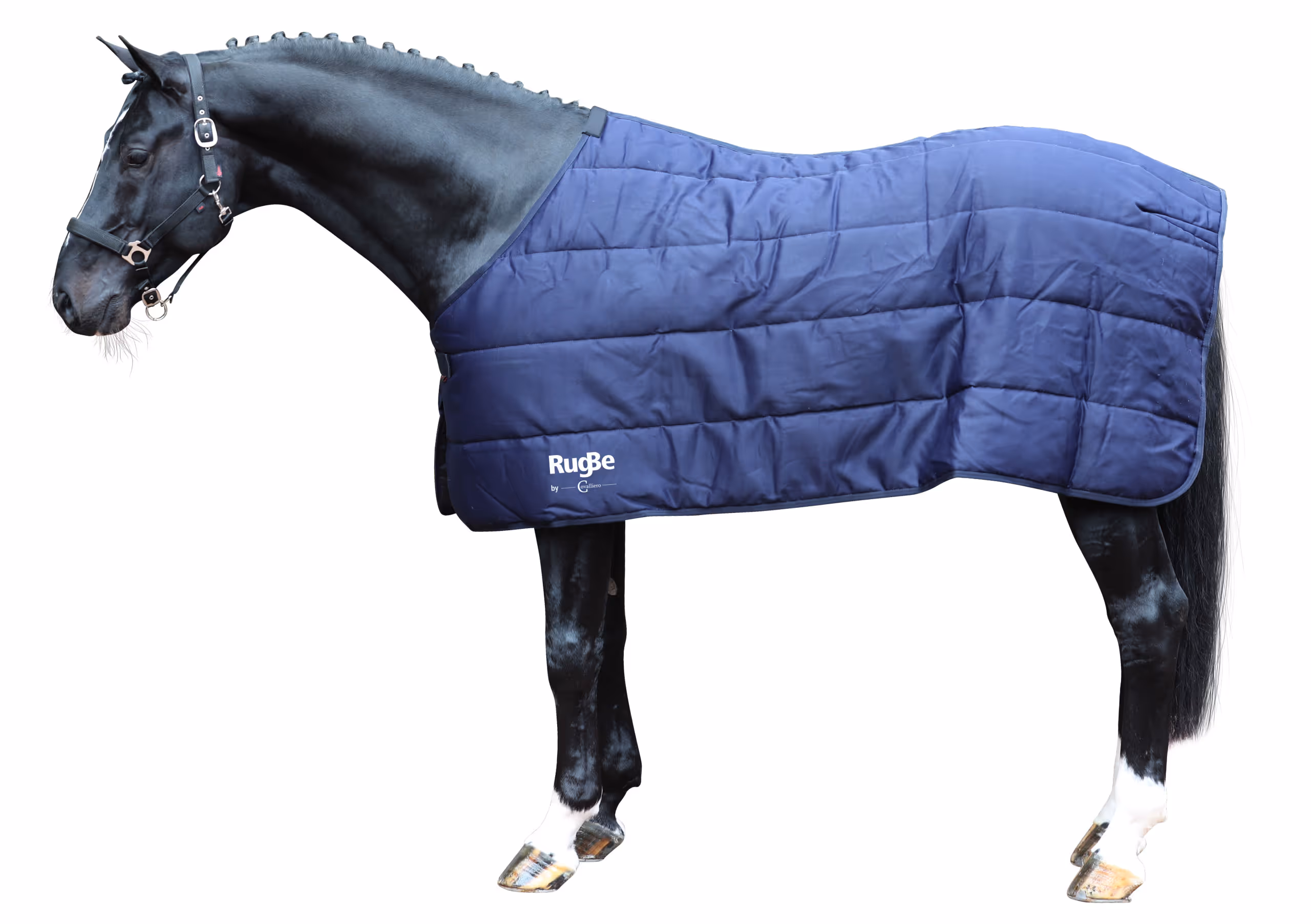 Couv. prot./écurie RugBe 2en1, 155 cm, navy