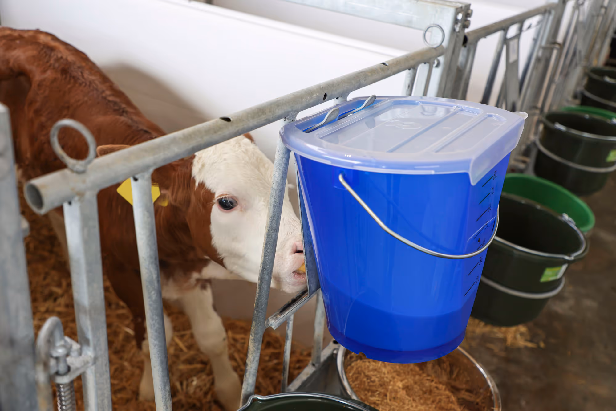 Couvercle MilkGuard pour seau d'allait., blanc transp.