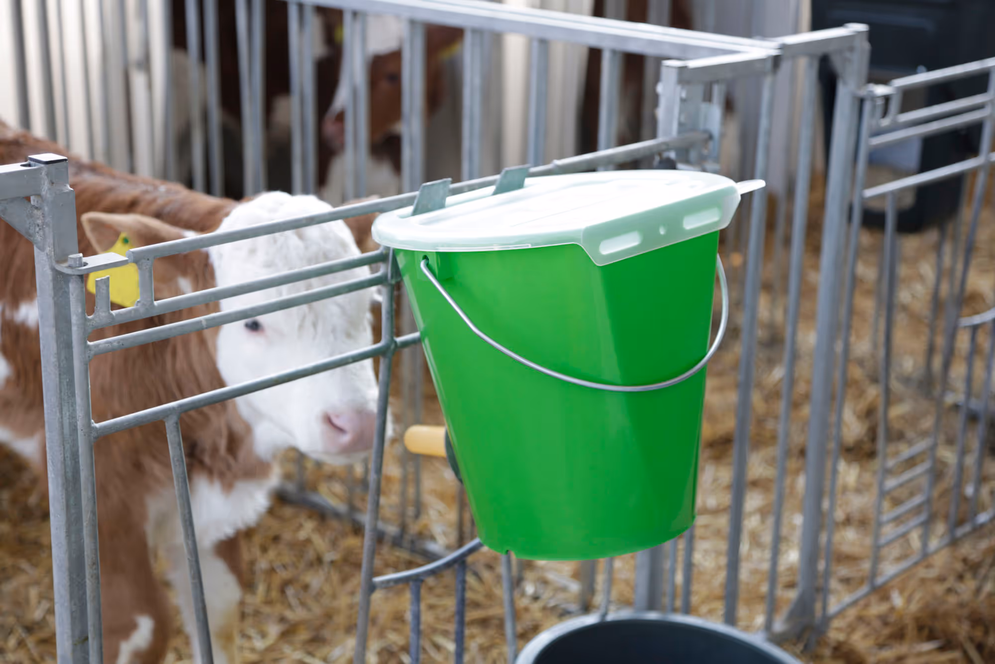 Couvercle MilkGuard pour seau d'allait., blanc transp.
