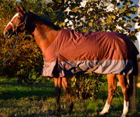 Couverture d'hiver pour cheval 125cm - Lacmé