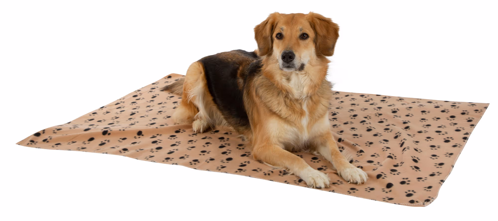 Couverture pour chien Stella beige, 140X100cm