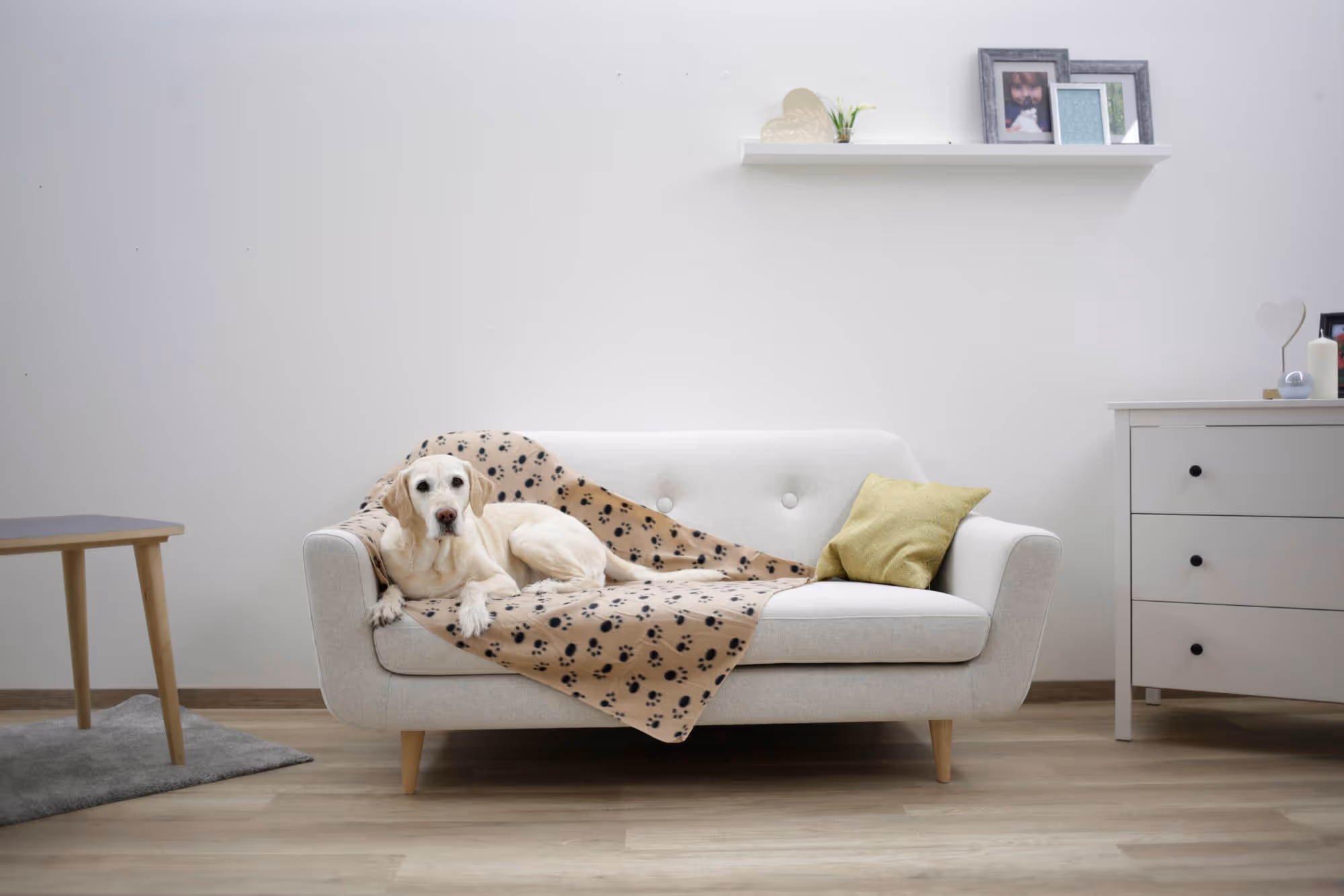 Couverture pour chien Stella beige, 140X100cm