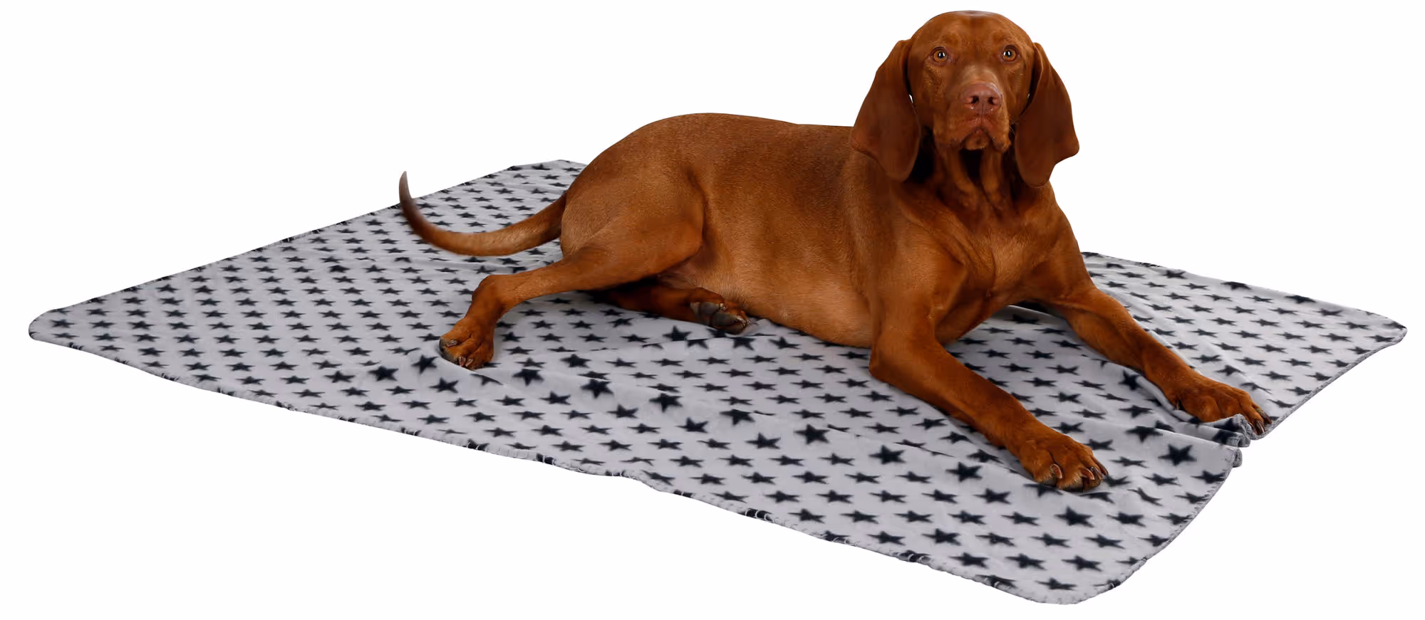 Couverture pour chien Stella gris, 140X100cm