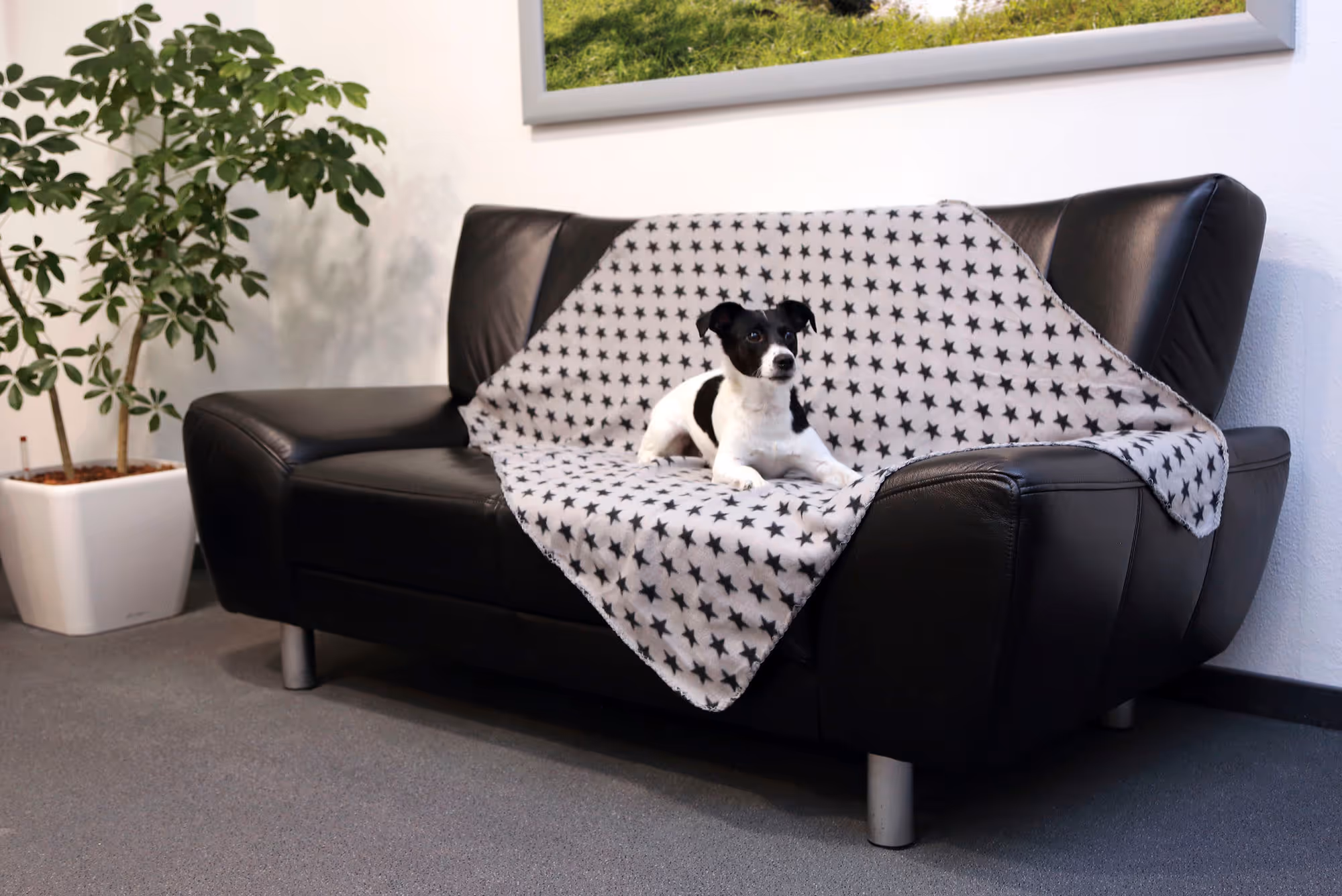 Couverture pour chien Stella gris, 140X100cm