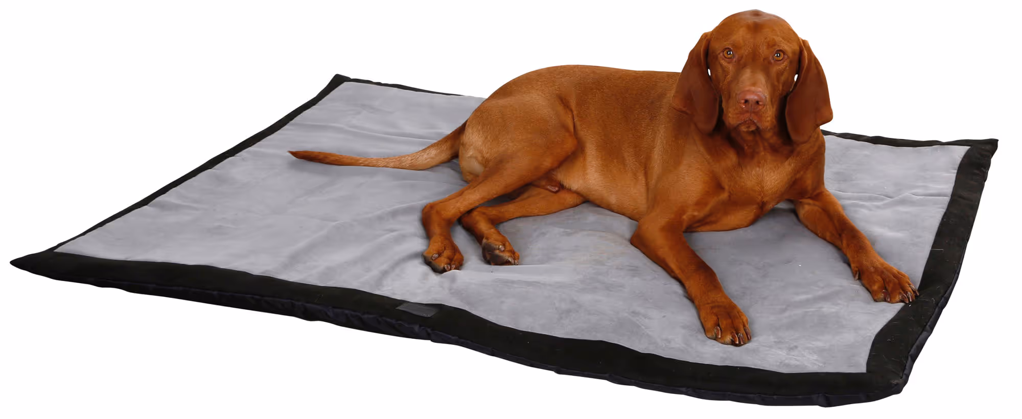 Couverture pour chien Trip gris/noir, 140X100X4cm